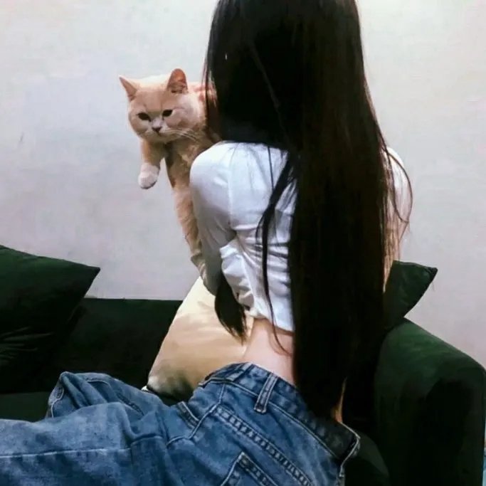 黑匣子